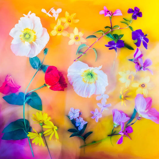 Flower Magick, by Javiera Estrada-PurePhoto