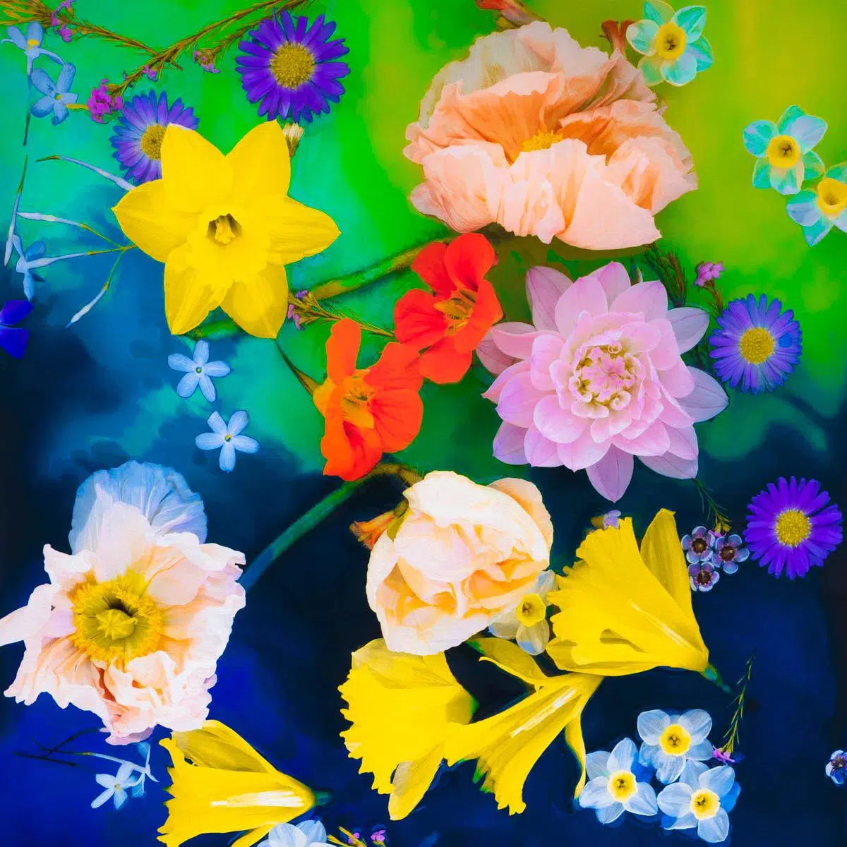 Flower Power, by Javiera Estrada-PurePhoto