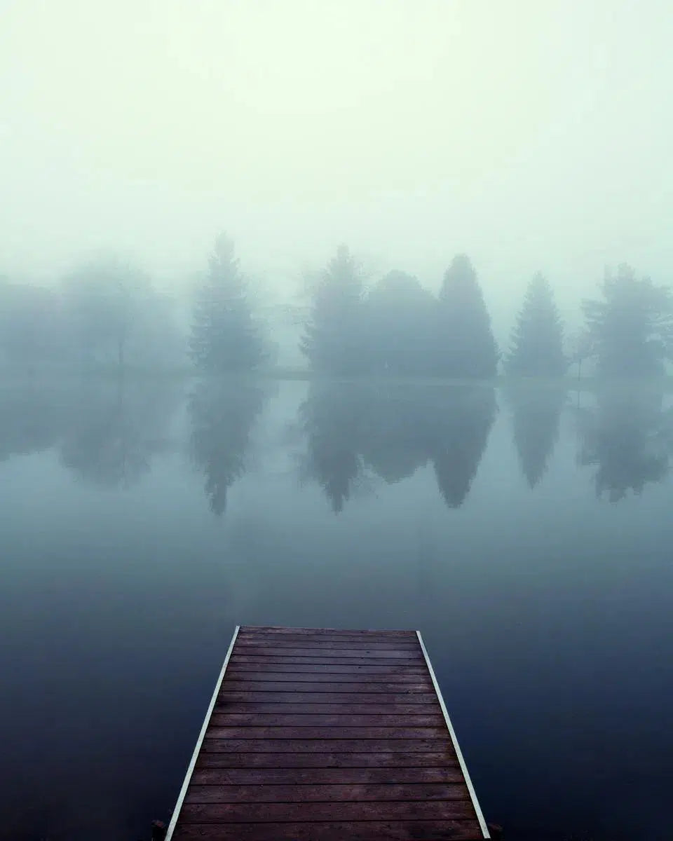 Foggy Dock, by Michael Filonow-PurePhoto