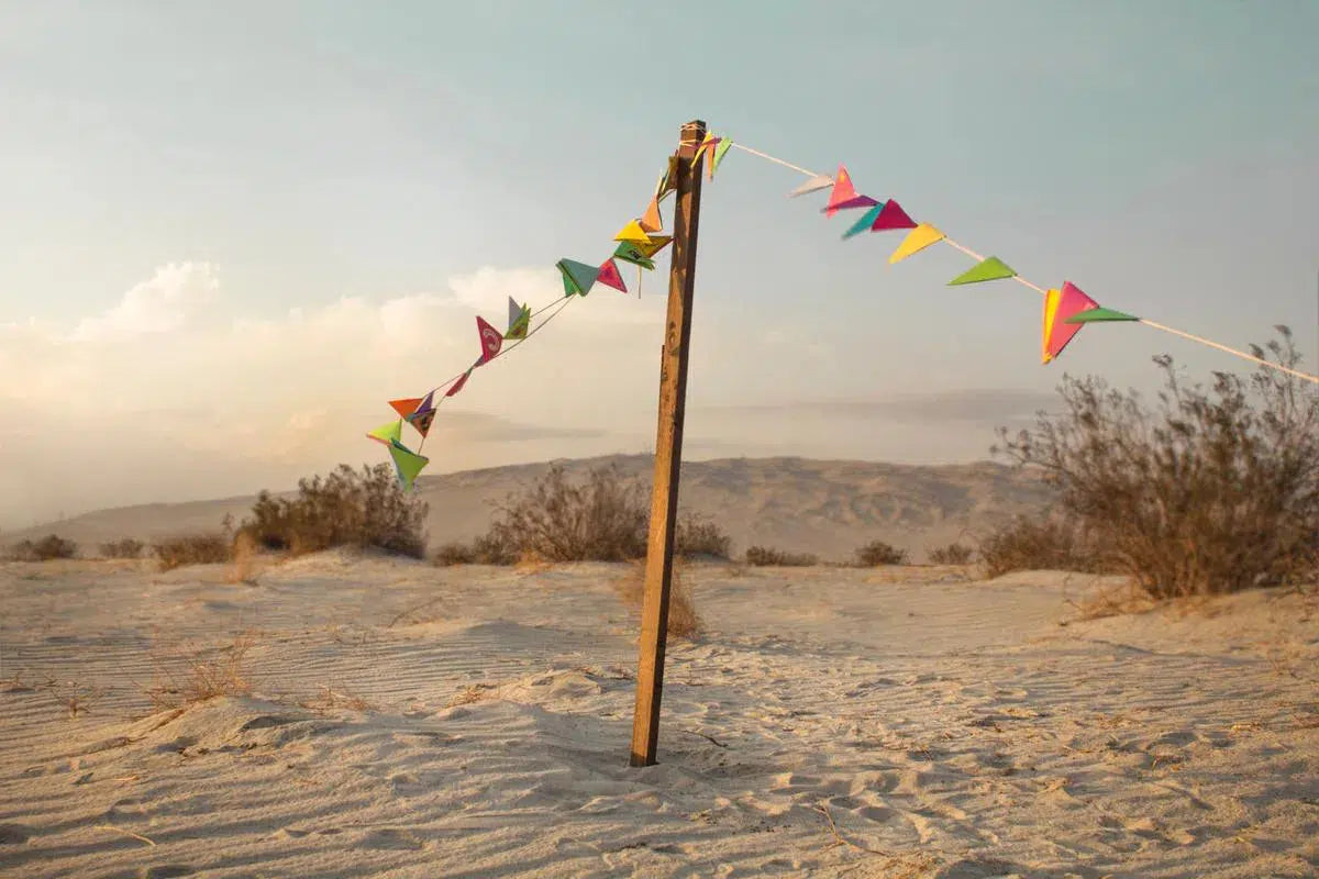 Fortitude, by Curtis Speer-PurePhoto