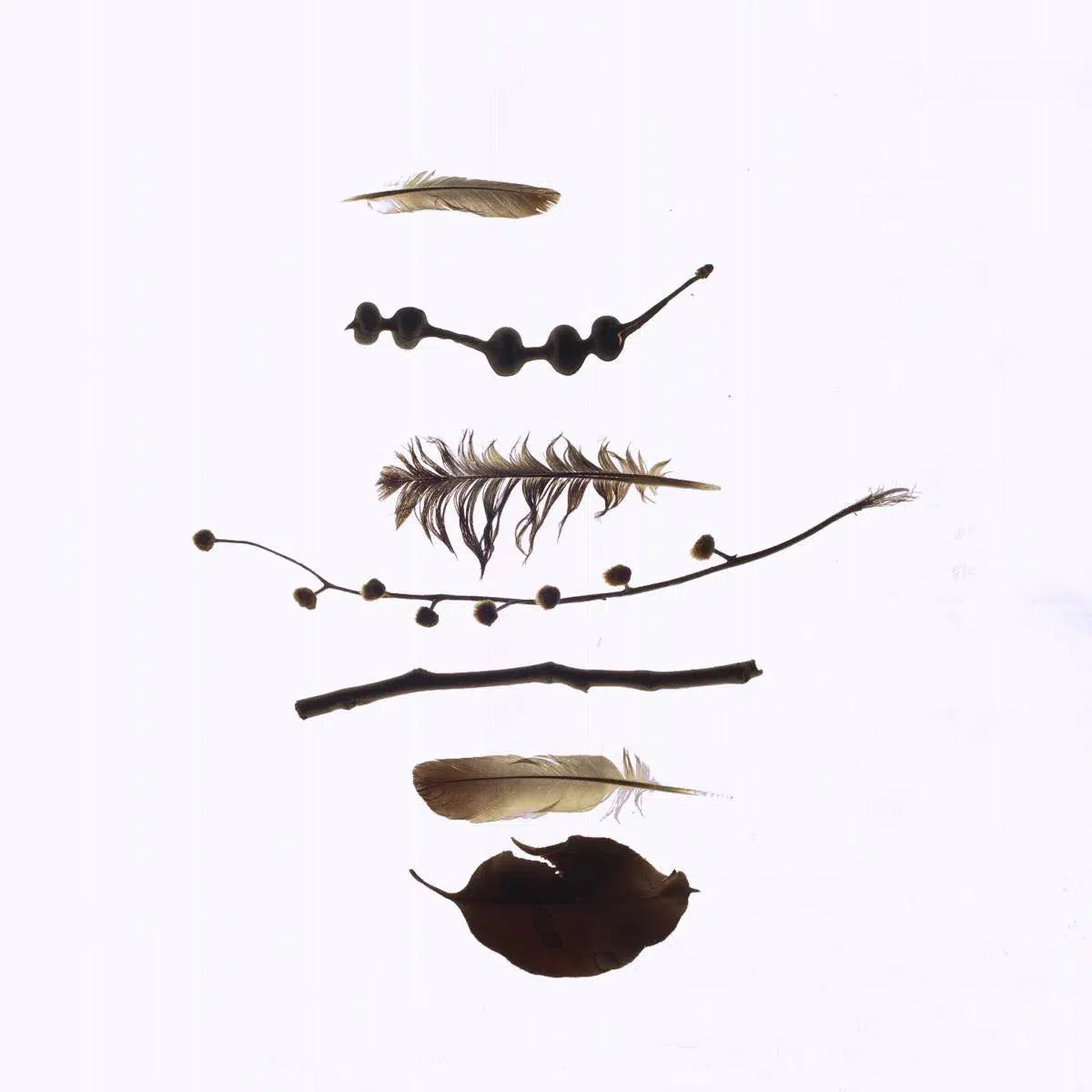 Found Things #2, by Bryony Shearmur-PurePhoto