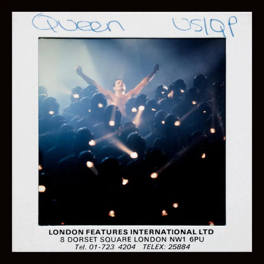 Freddy Mercury - Slide 7, from The Wild Ones collection-PurePhoto