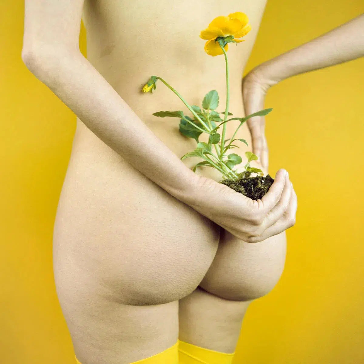 Full Bloom, by Javiera Estrada-PurePhoto