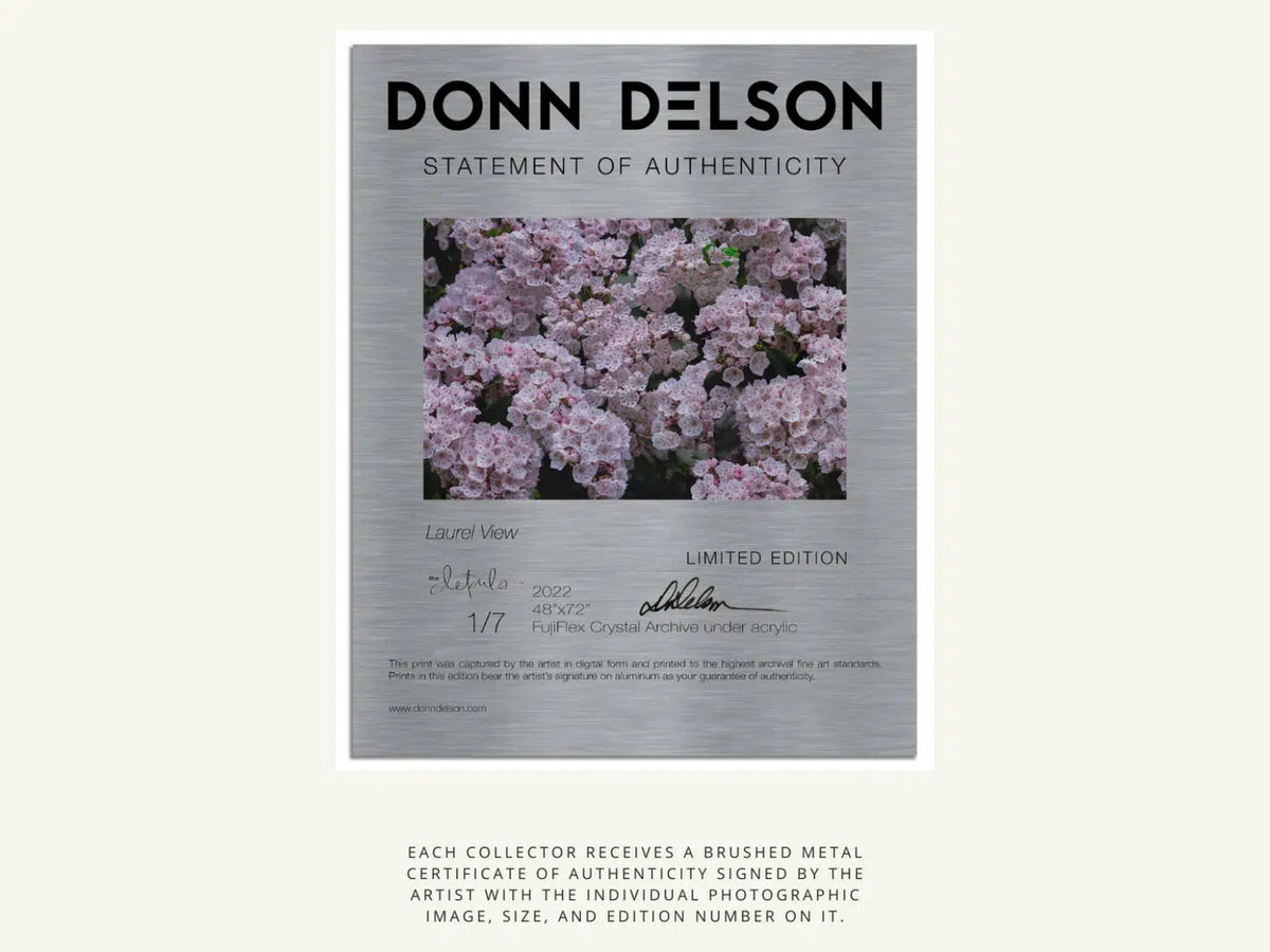 Hand Written, by Donn Delson-PurePhoto