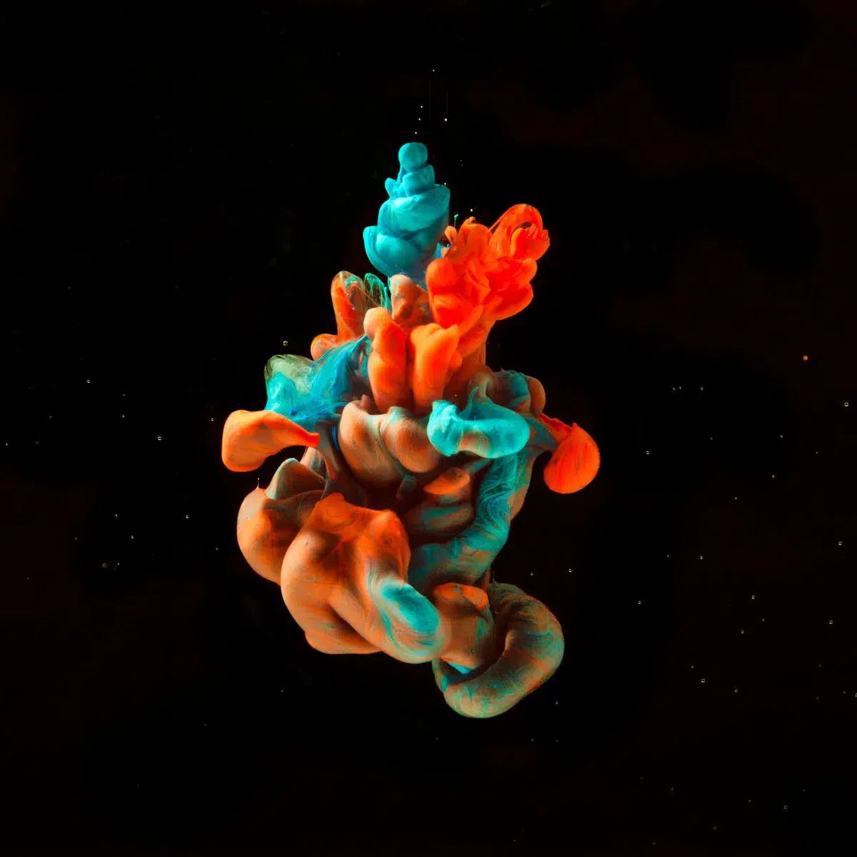 Heart in the Sky, by Javiera Estrada-PurePhoto