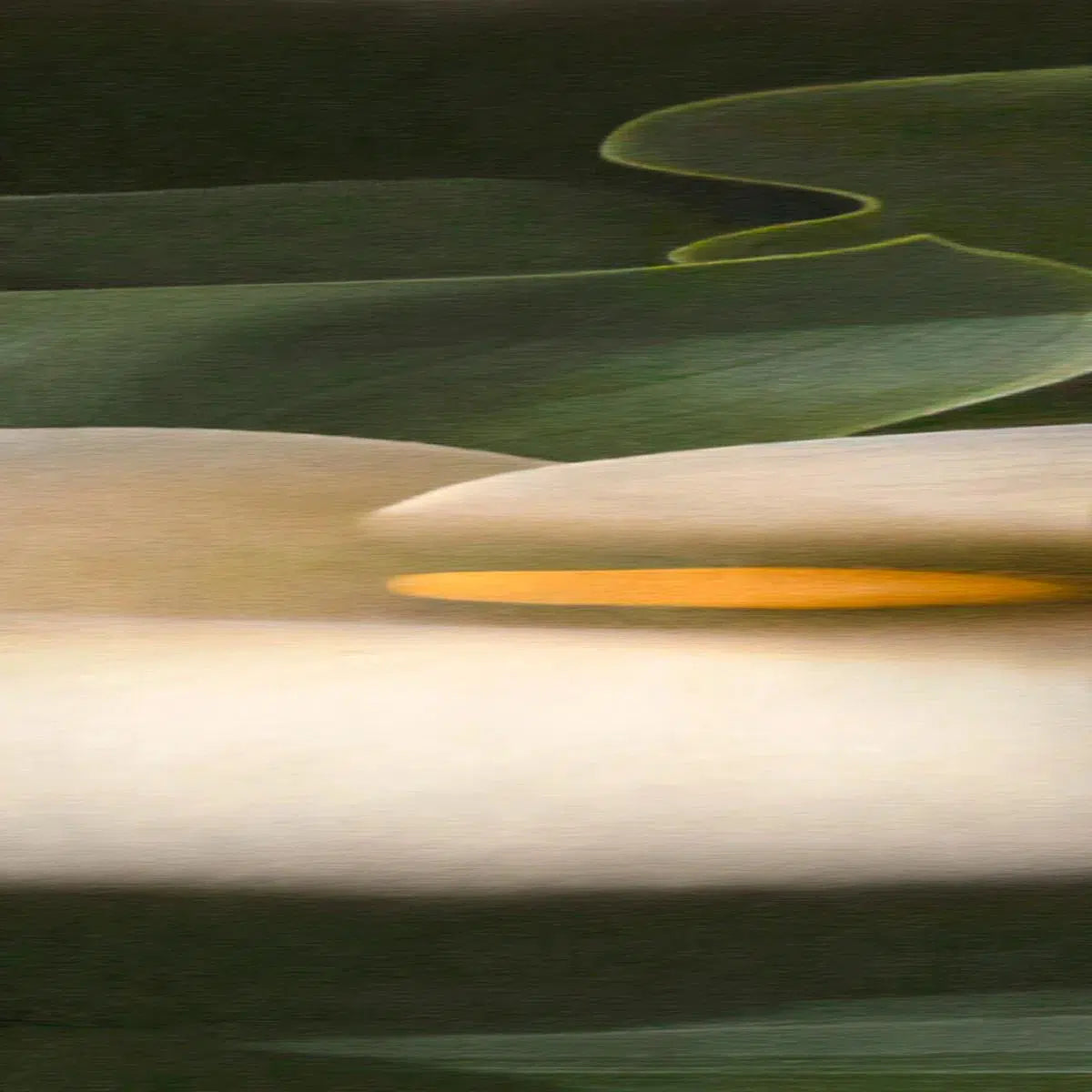 Heart of Gold, by Gillian Lindsay-PurePhoto