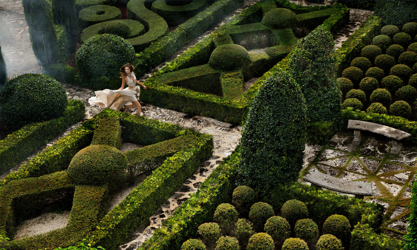 Hedge Maze, by Greg Lotus-PurePhoto