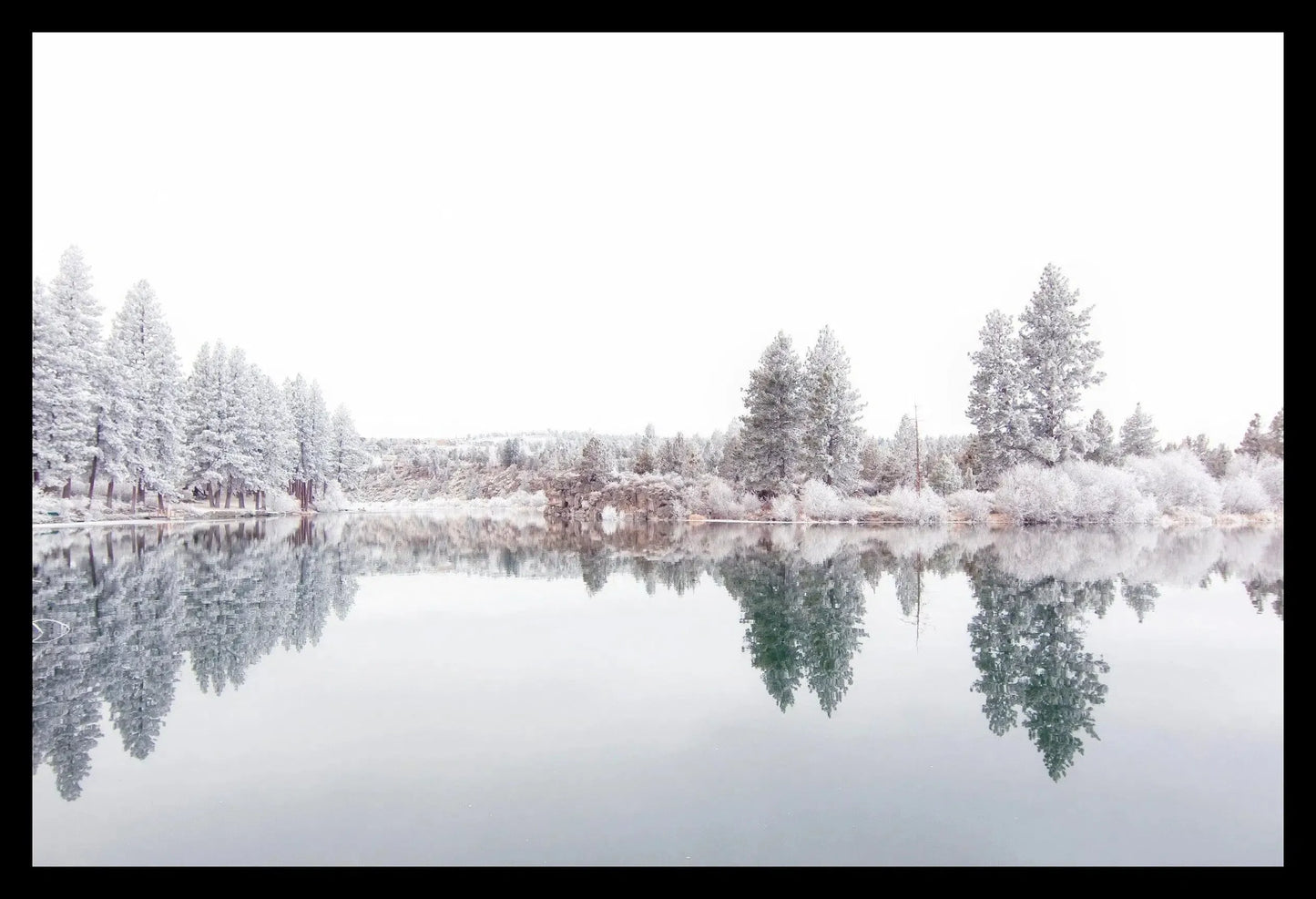 Hoar Frost VI, Framed-PurePhoto