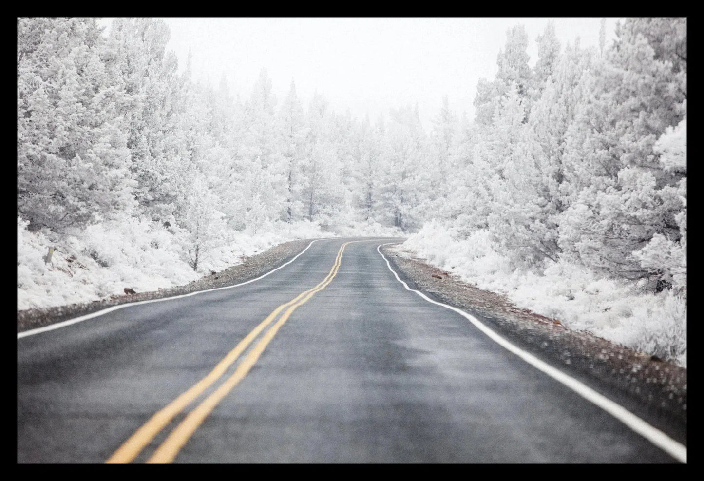Hoar Frost VII, Framed-PurePhoto
