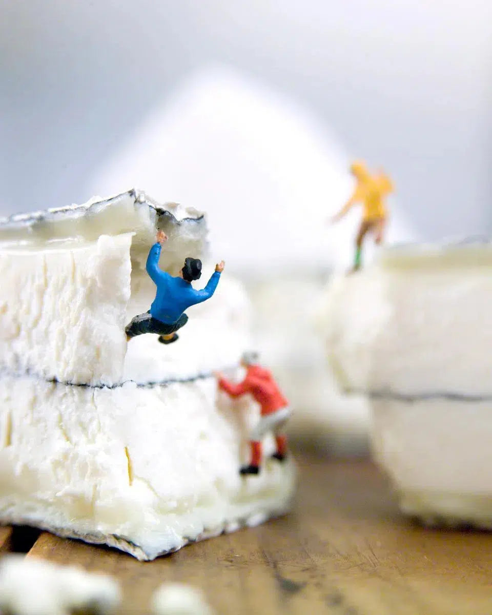 Humboldt Fog, by Matthew Carden-PurePhoto