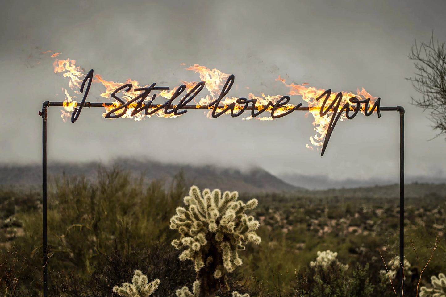 I Still Love You (Fire), by Olivia Steele-PurePhoto