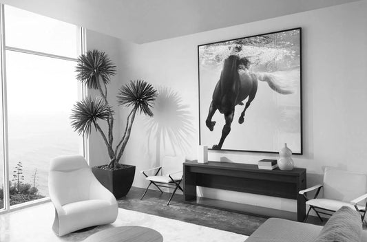 Immersion, by Drew Doggett-PurePhoto