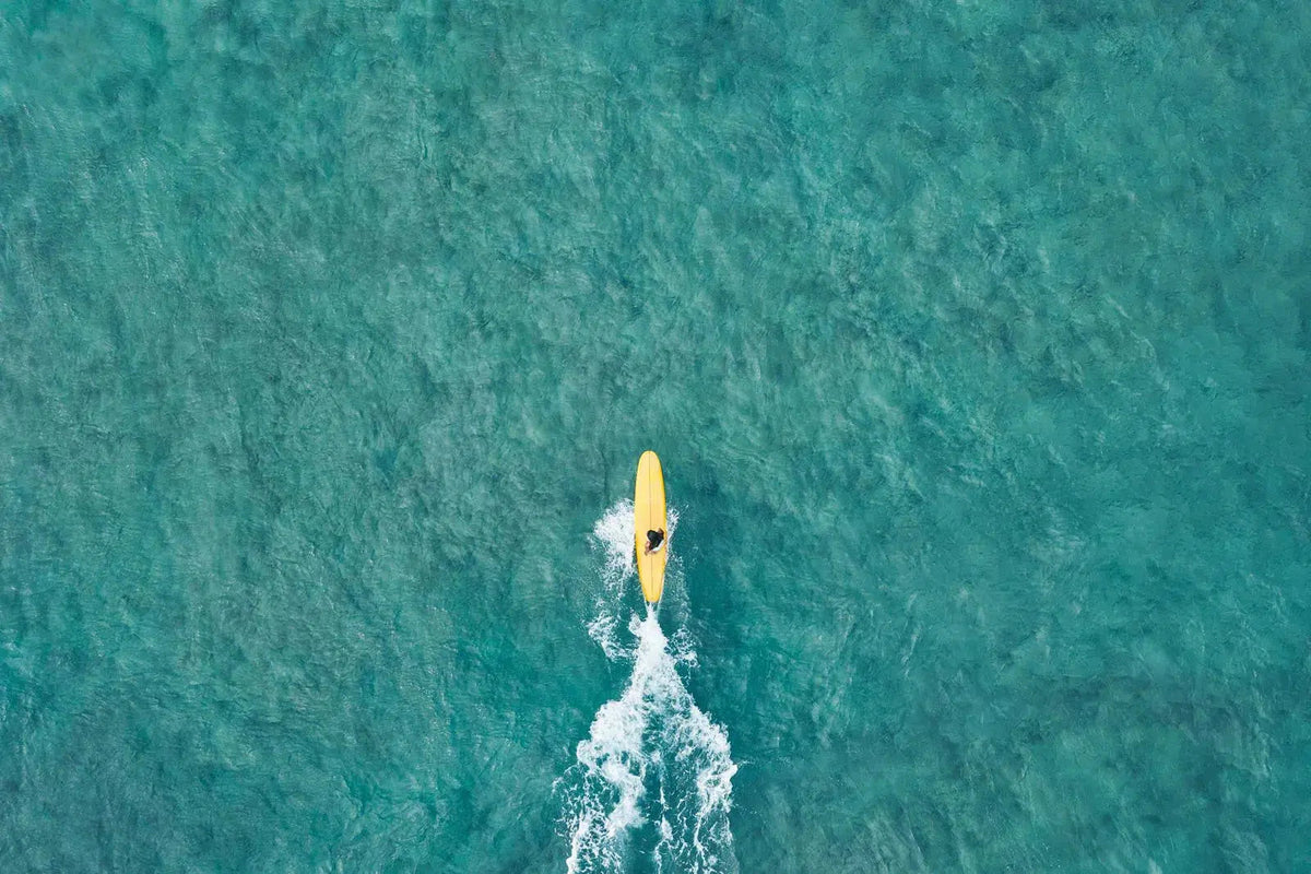 In Nature's Balance, by Drew Doggett-PurePhoto