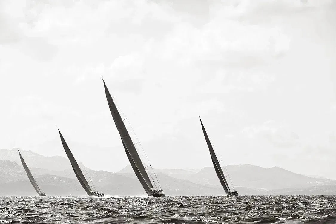 In Sync, by Drew Doggett-PurePhoto