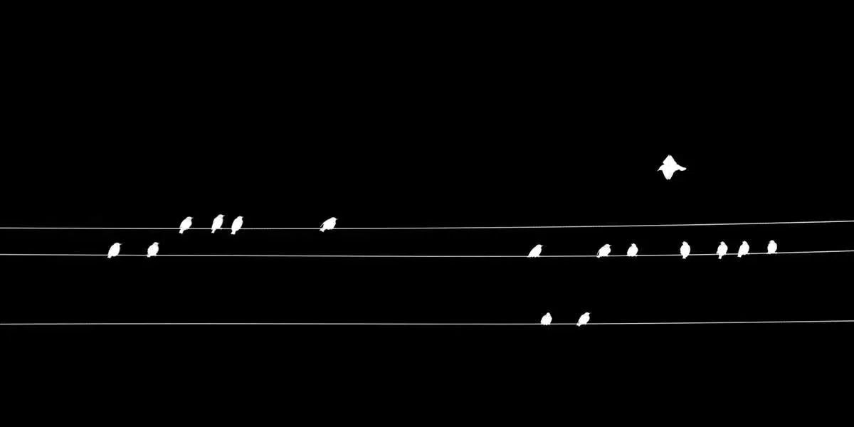 Incoming, by Grace Macqueen-PurePhoto