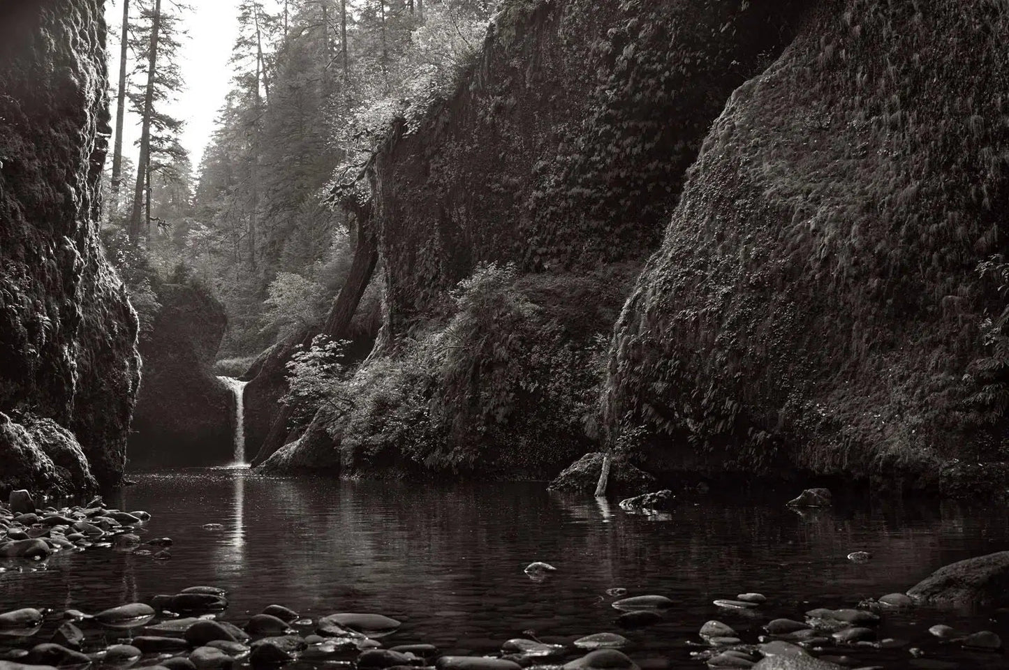 Innocent Waters, by Drew Doggett-PurePhoto