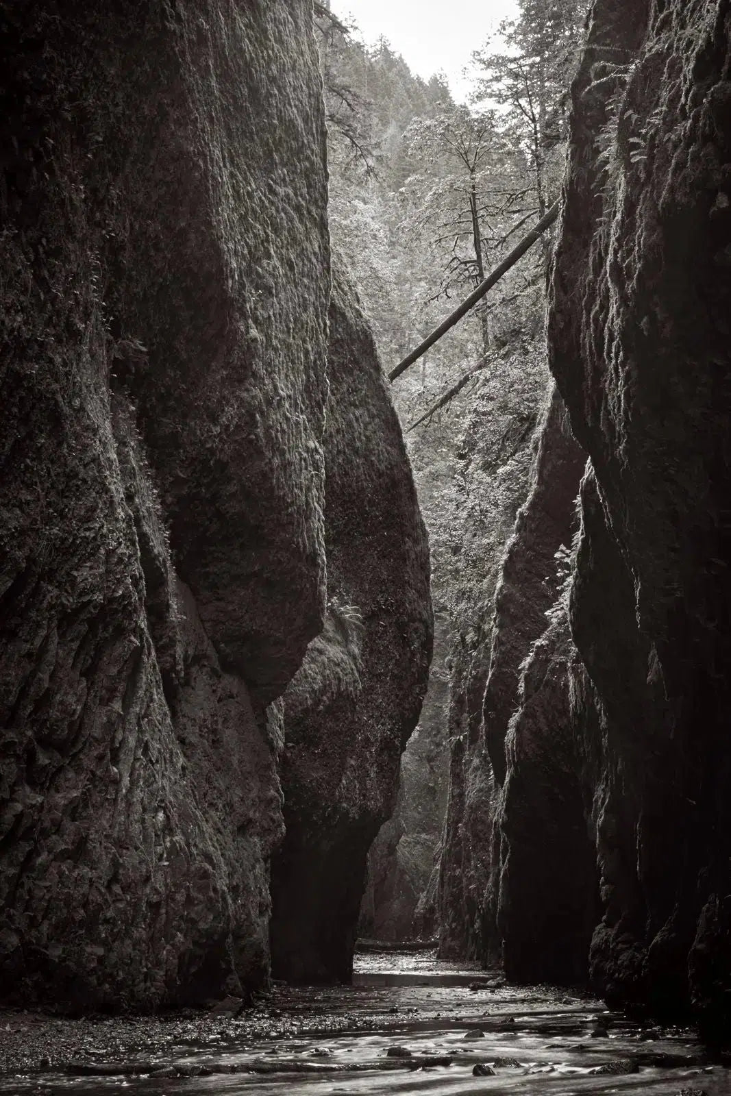 Into the Gorge, by Drew Doggett-PurePhoto