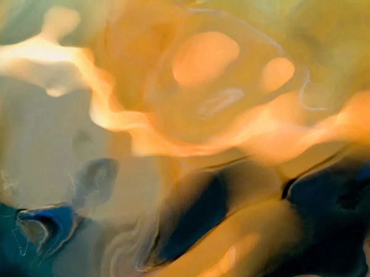 Judgement,by Geoffrey Baris-PurePhoto