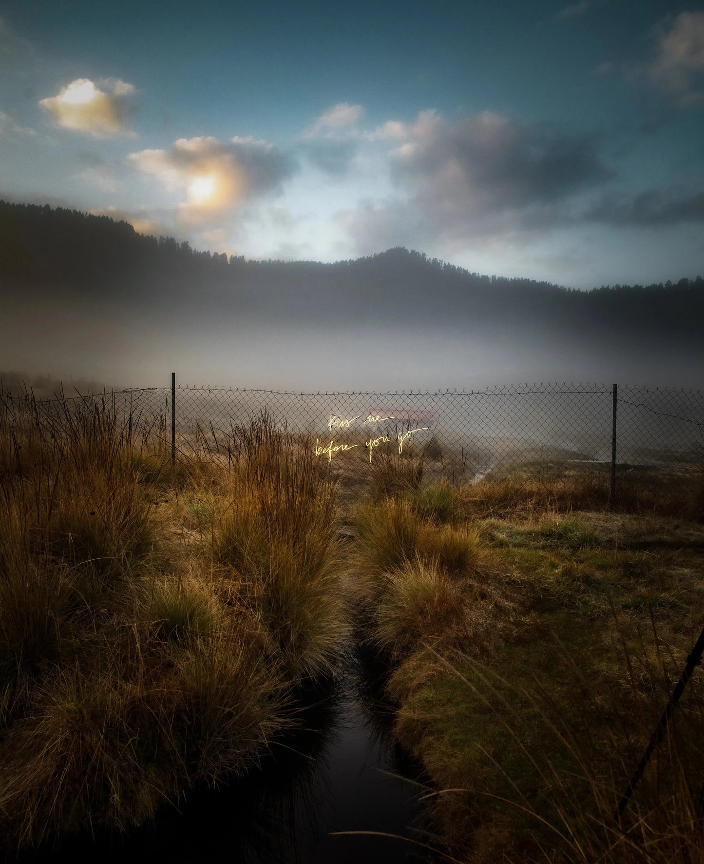 Kiss Me Before You Go (Day Fence), by Olivia Steele-PurePhoto