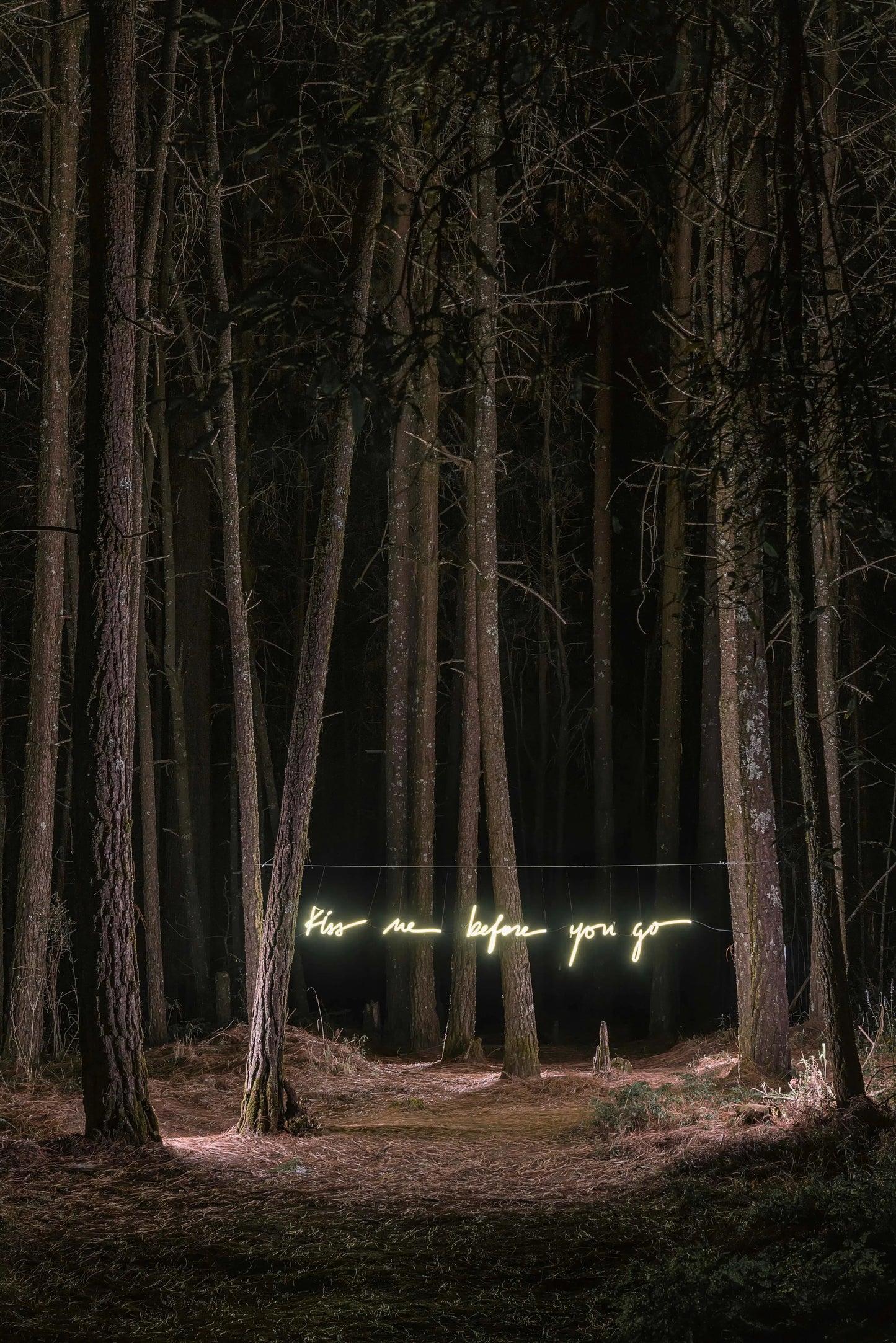 Kiss Me Before You Go (Night Forest), by Olivia Steele-PurePhoto