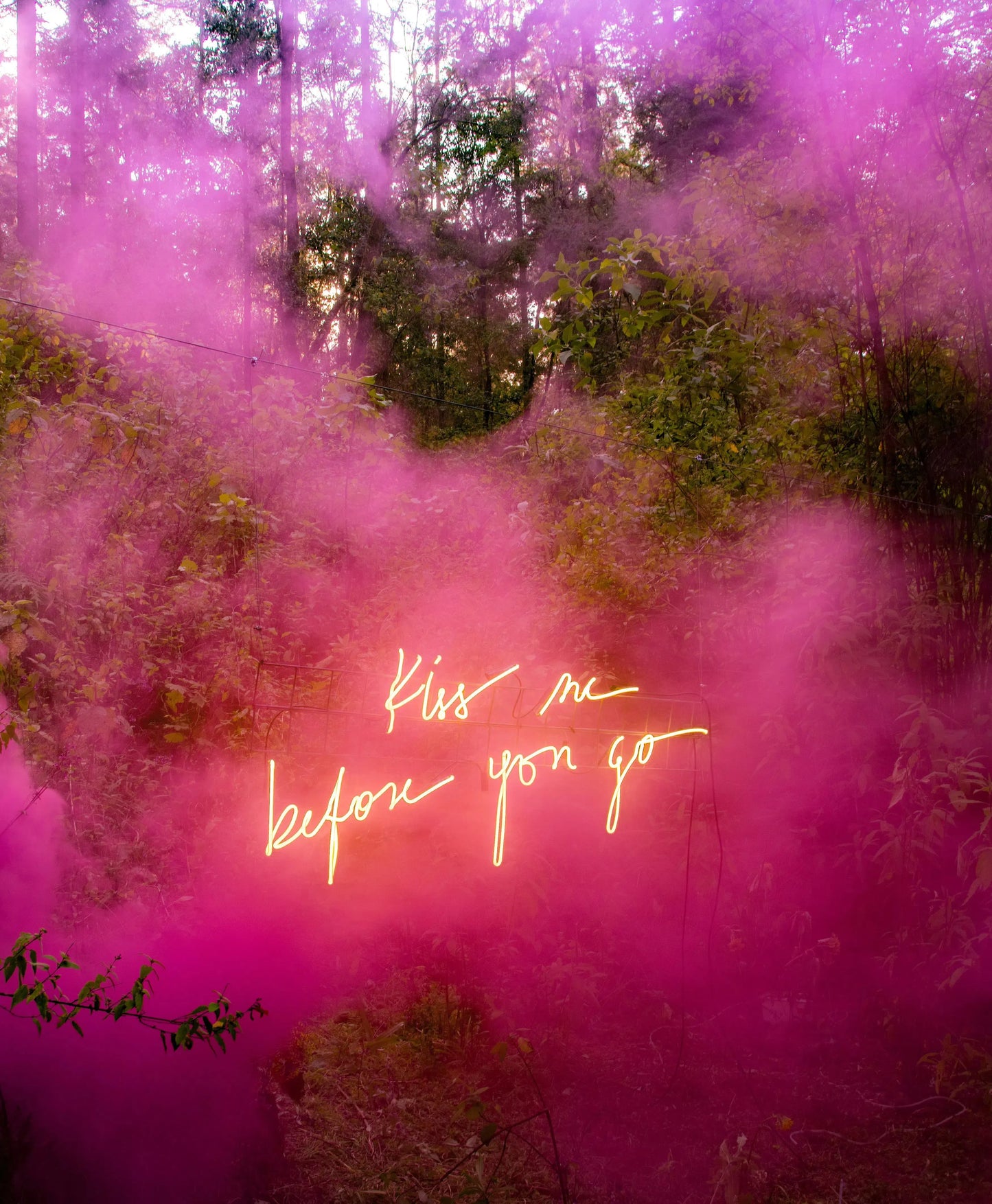 Kiss Me Before You Go (Pink), by Olivia Steele-PurePhoto