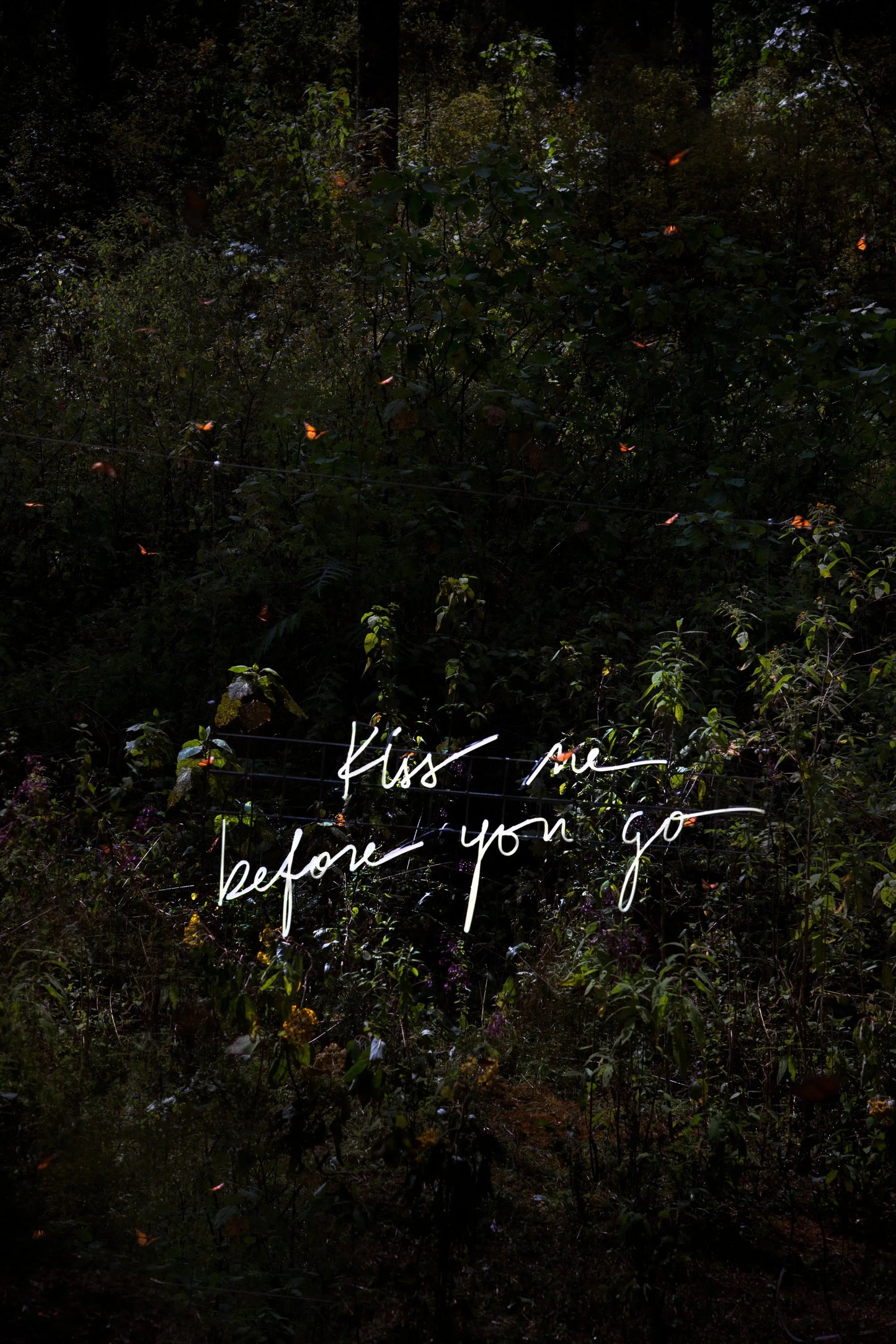 Kiss Me Before You Go (White), by Olivia Steele-PurePhoto