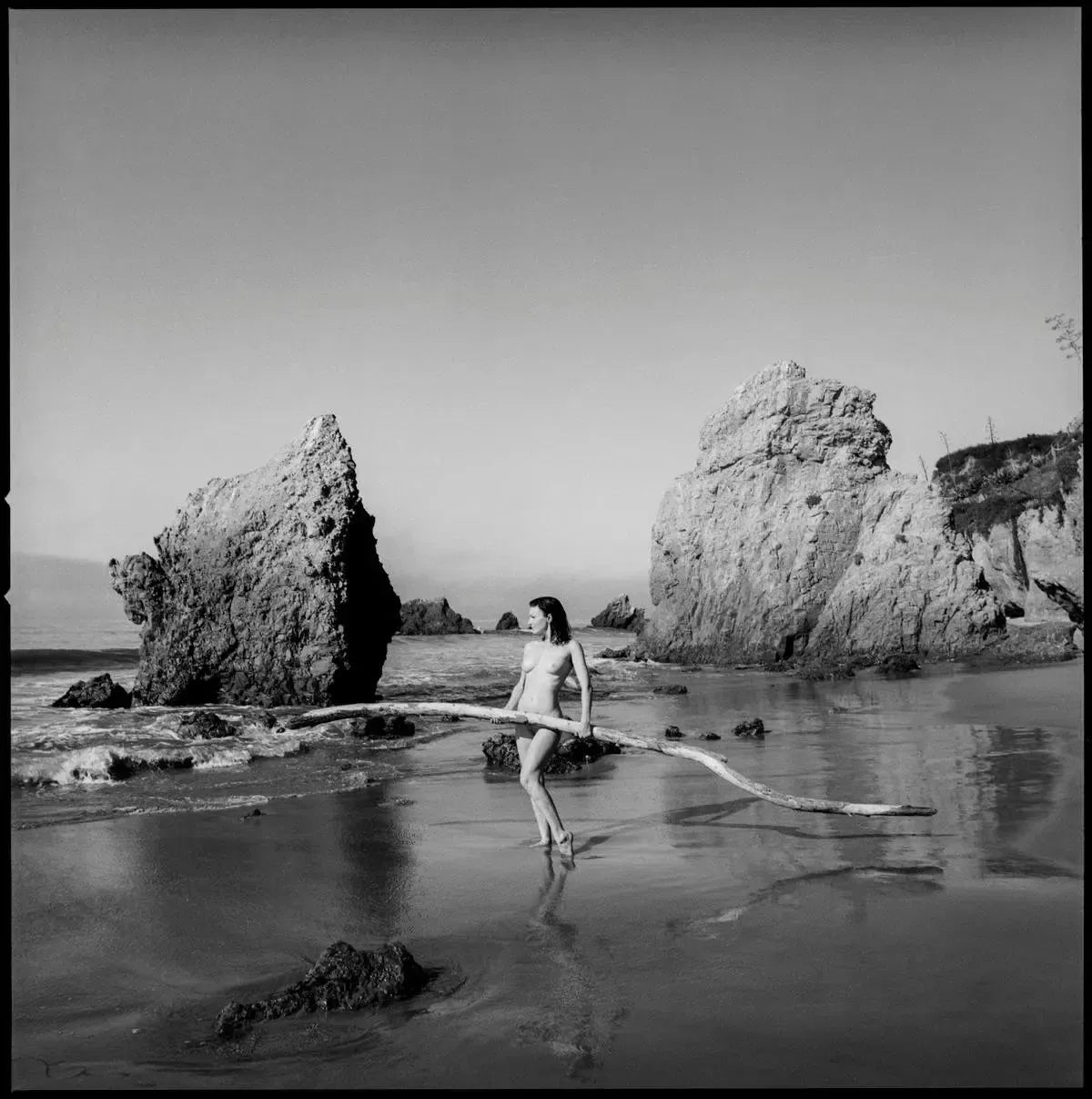 La Fuerza, by Javiera Estrada-PurePhoto