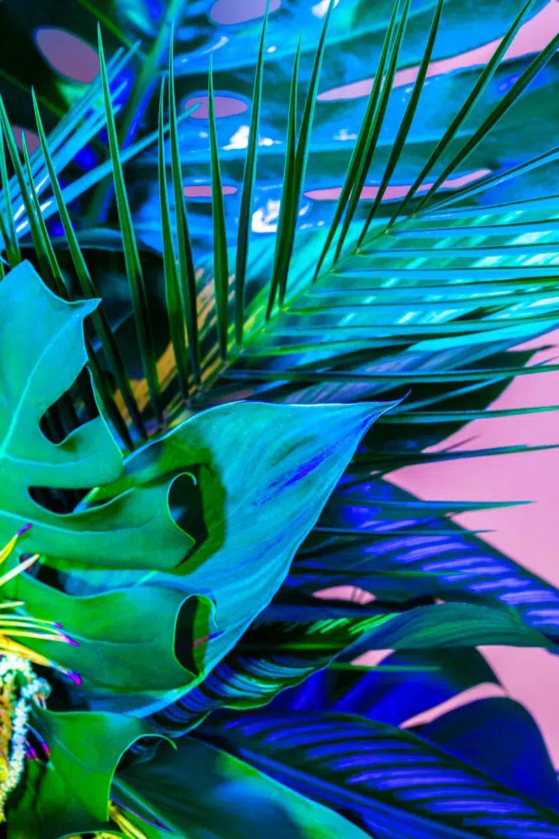 La Laguna, by Javiera Estrada-PurePhoto