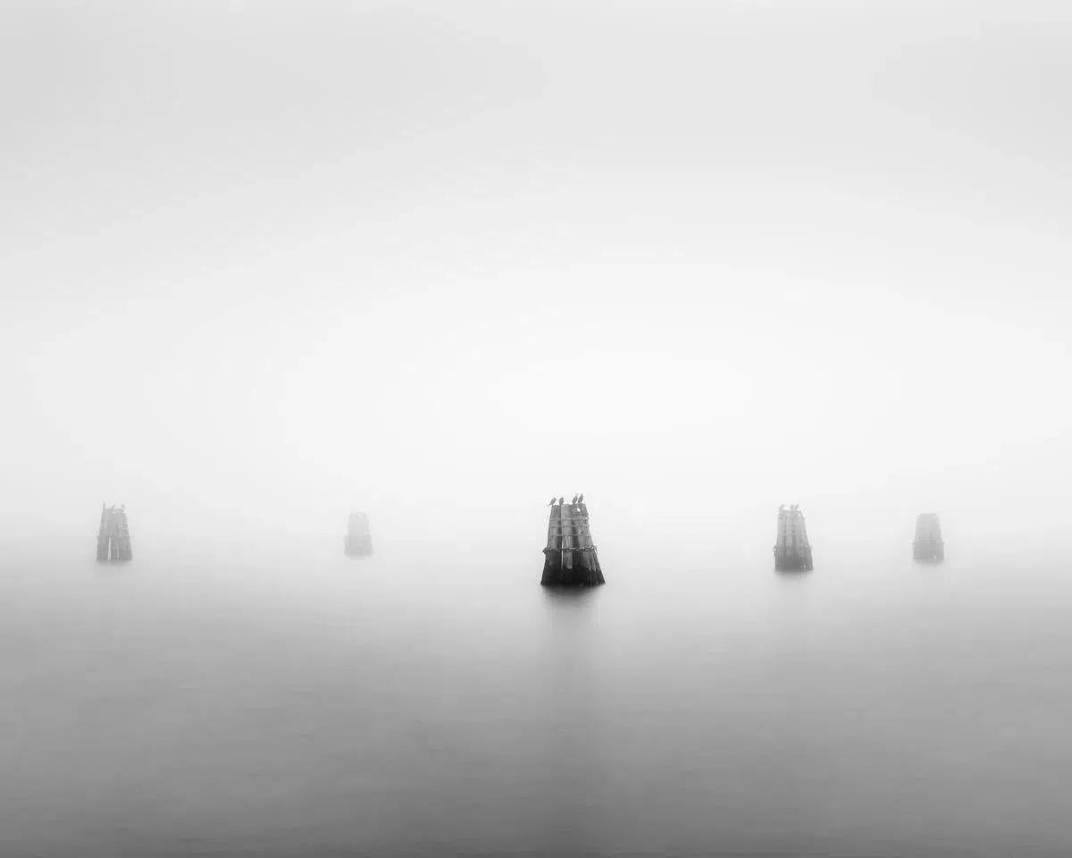 Lagoon Study 1 - Venice, by Steven Castro-PurePhoto