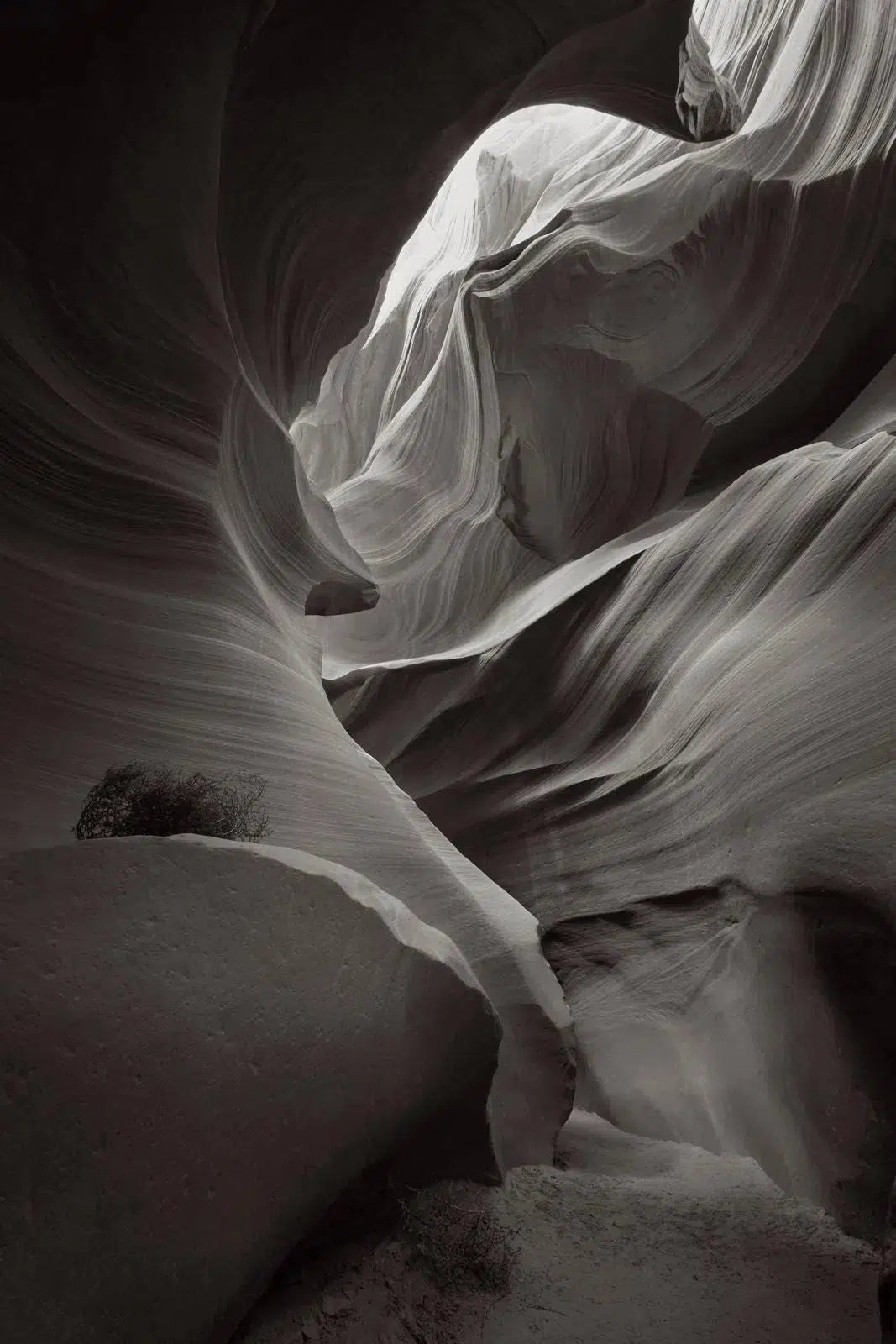 Light Above, by Drew Doggett-PurePhoto