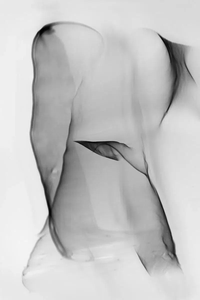 Light Imitating Art® :: Backlight, by Gillian Lindsay-PurePhoto