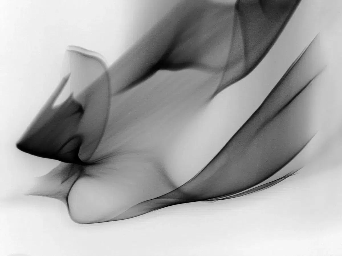 Light Imitating Art® :: Speed of Light, by Gillian Lindsay-PurePhoto