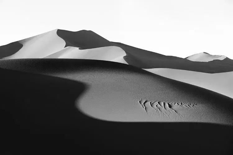 Light in Profile, by Drew Doggett-PurePhoto