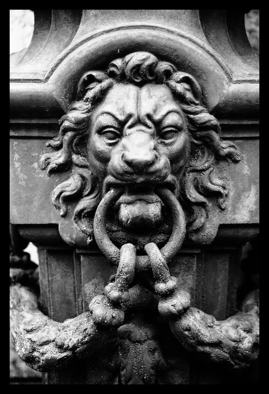 Lion at Recoleta Cemetery, Framed-PurePhoto