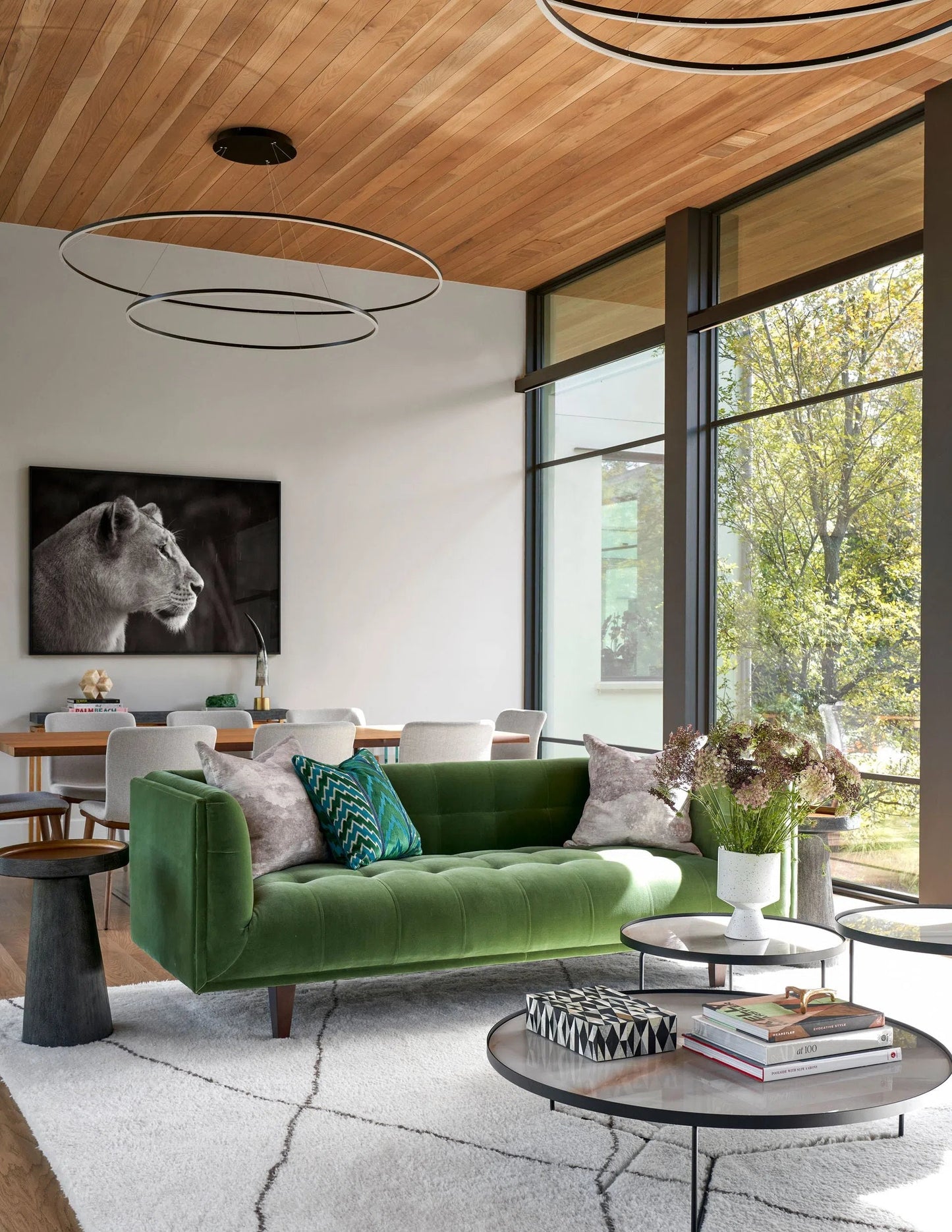 Lioness in Profile, by Drew Doggett-PurePhoto