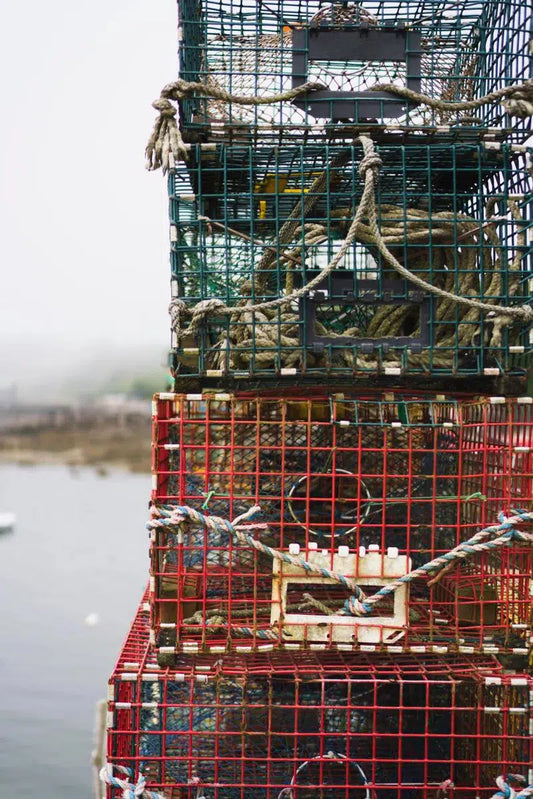 Lobster Cages 2, by Alicia Cho-PurePhoto