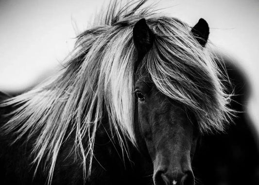 Long and Wavy, by Laurent Baheux-PurePhoto