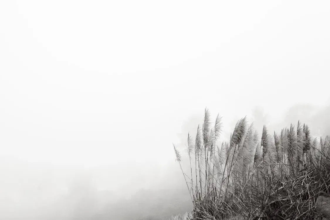 Lookout, by Drew Doggett-PurePhoto