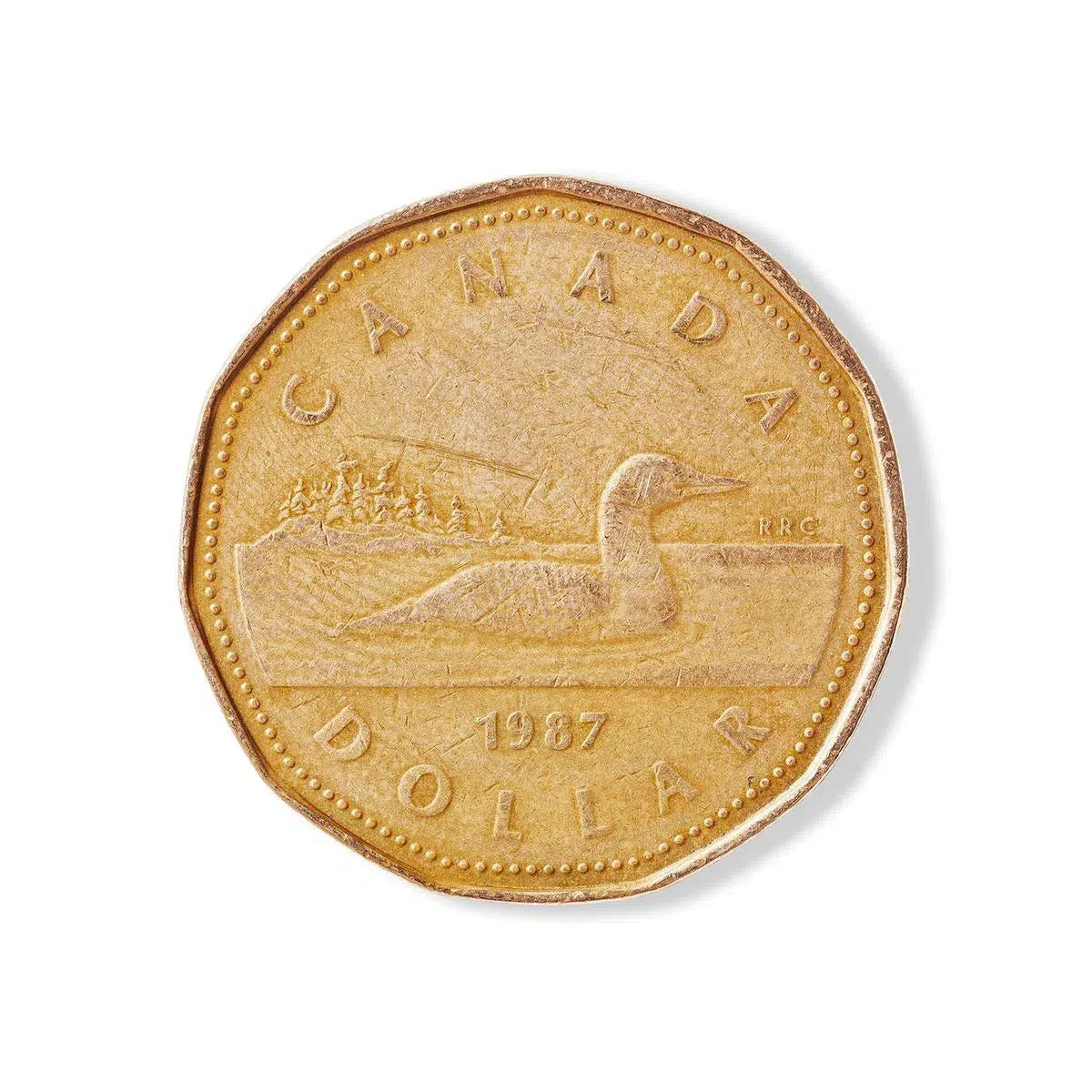 Loonie 1987, by Peter Andrew-PurePhoto