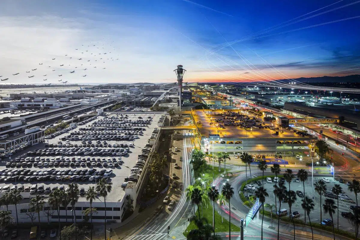 Los Angeles International, by Mike Kelley-PurePhoto