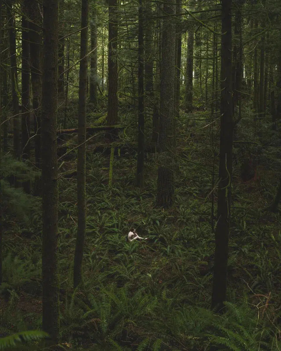 Lost in the Woods II, by Oliver Regueiro-PurePhoto
