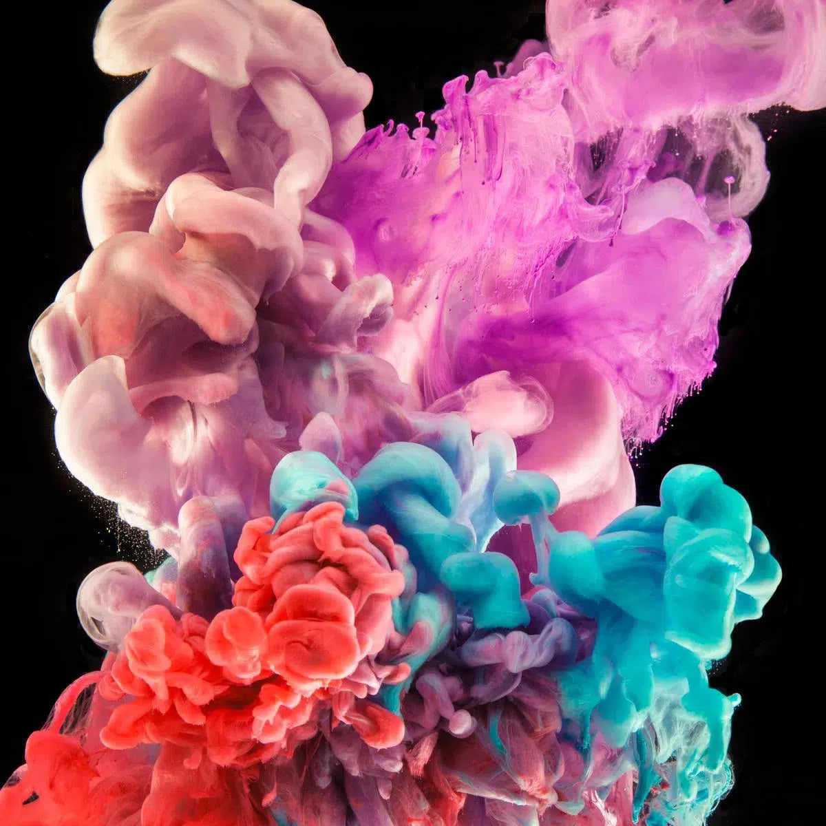 Love is in the Air, by Javiera Estrada-PurePhoto