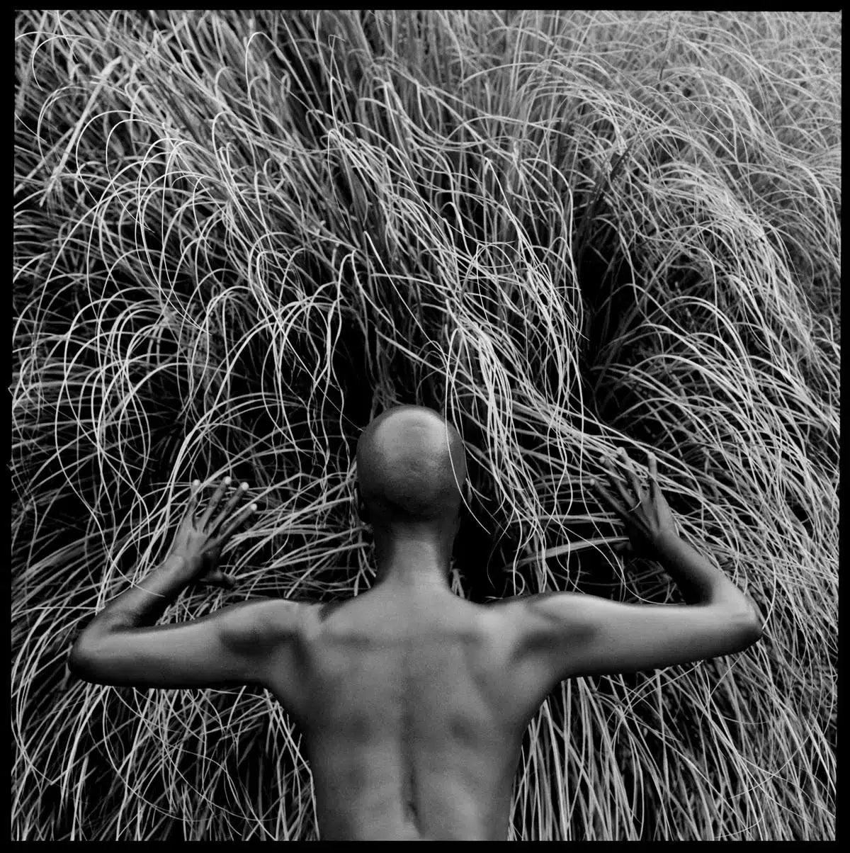 Magic Awaits, by Javiera Estrada-PurePhoto