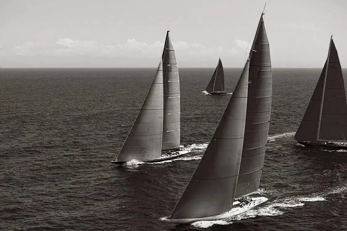 Majesty at Sea, by Drew Doggett-PurePhoto