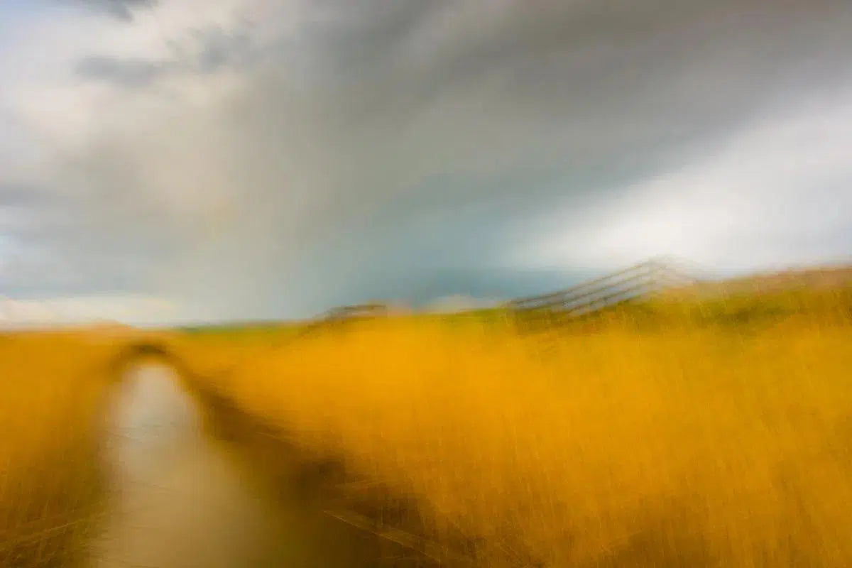 Marsh Light 3, by Robert Canis-PurePhoto