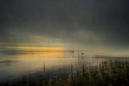 Marsh Light 7, by Robert Canis-PurePhoto