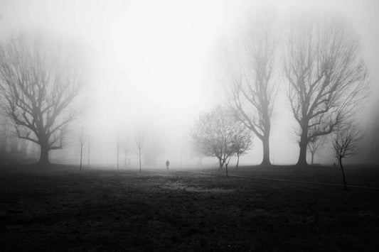 Milano fog, by Marco Virgone-PurePhoto