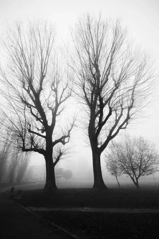 Milano fog, by Marco Virgone-PurePhoto