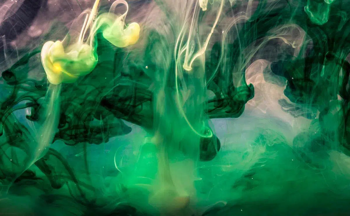 Monet's Dream, by Javiera Estrada-PurePhoto