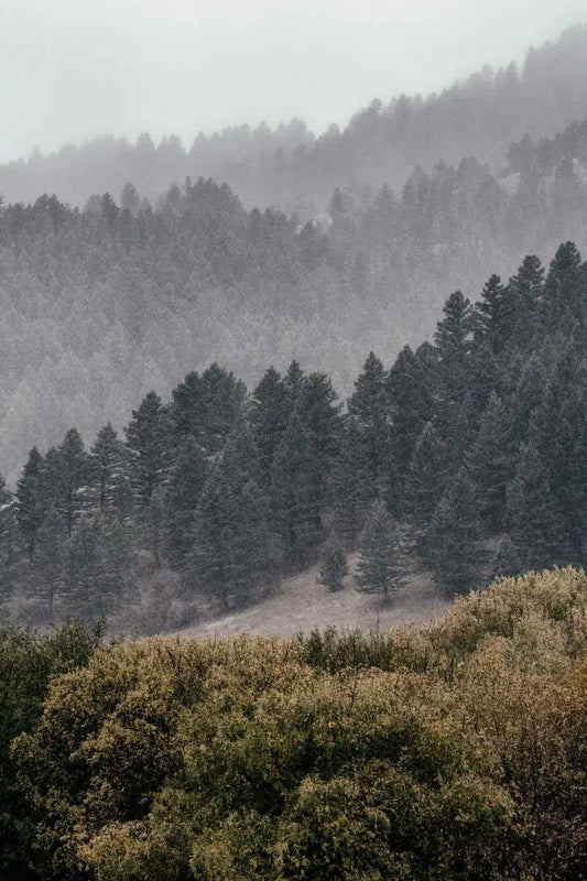 Montana Fog, by Joel Lavold-PurePhoto